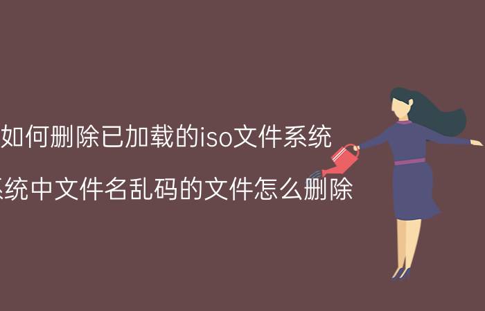 如何删除已加载的iso文件系统 系统中文件名乱码的文件怎么删除？